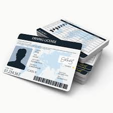 Driving Licence